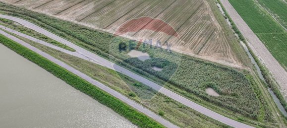 59000m² Land in Goro, Italy No. 362041 17