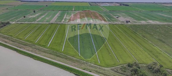 59000m² Land in Goro, Italy No. 362041 10