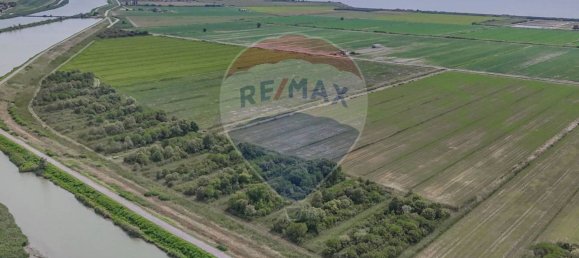 59000m² Land in Goro, Italy No. 362041 5