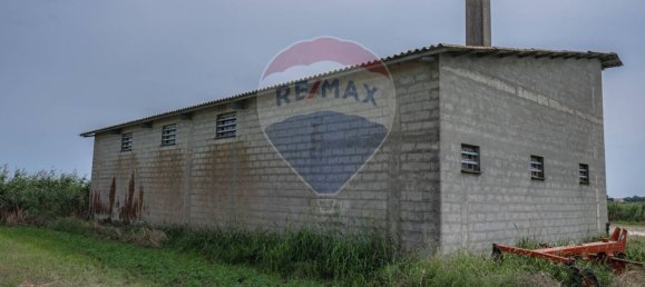 59000m² Land in Goro, Italy No. 362041 25