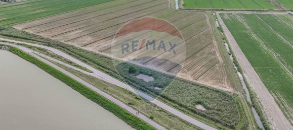 59000m² Land in Goro, Italy No. 362041 19