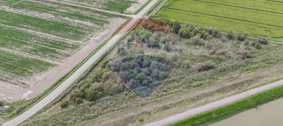 59000m² Land in Goro, Italy No. 362041 18