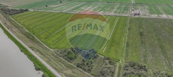 59000m² Land in Goro, Italy No. 362041 9