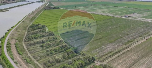59000m² Land in Goro, Italy No. 362041 6