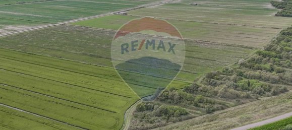 59000m² Land in Goro, Italy No. 362041 11