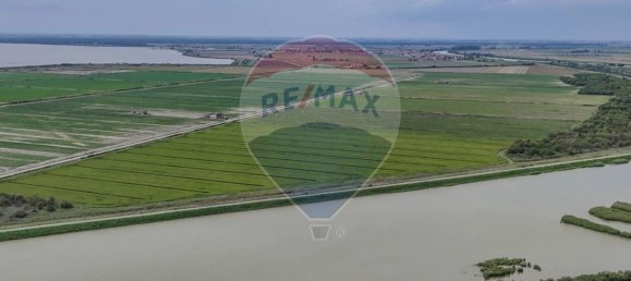 59000m² Land in Goro, Italy No. 362041 12