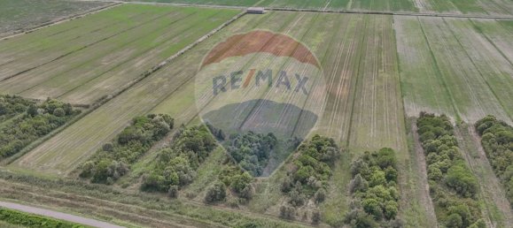 59000m² Land in Goro, Italy No. 362041 4