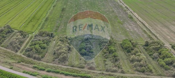 59000m² Land in Goro, Italy No. 362041 8