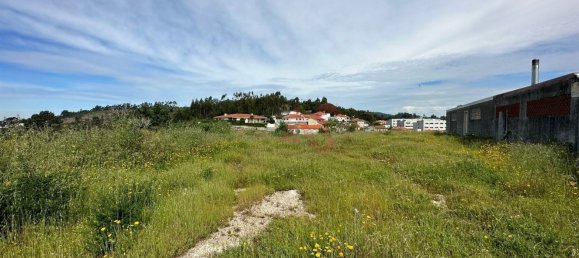 Grundstück in Vizela, Portugal 6652m², Nr. 42104 2