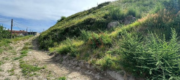 Grundstück in Vizela, Portugal 6652m², Nr. 42104 8