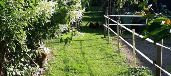 6 rooms House in Wartmannstetten, Austria No. 244679 5