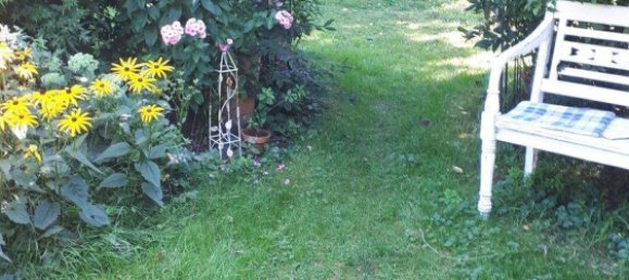 6 rooms House in Wartmannstetten, Austria No. 244679 4