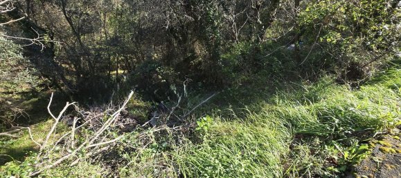 Земельный участок 6588м² в Таджа, Италия № 36625 9