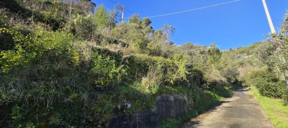 Земельный участок 6588м² в Таджа, Италия № 36625 7