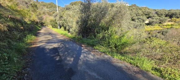 Земельный участок 6588м² в Таджа, Италия № 36625 5