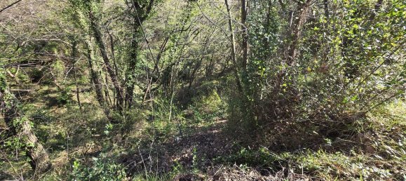 Земельный участок 6588м² в Таджа, Италия № 36625 10