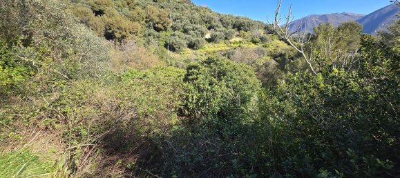 Земельный участок 6588м² в Таджа, Италия № 36625 6