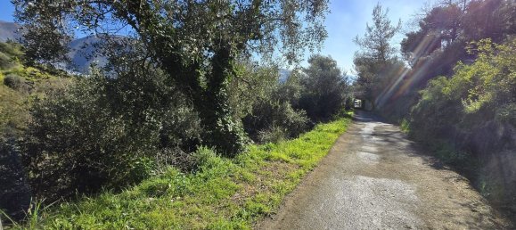 Земельный участок 6588м² в Таджа, Италия № 36625 14