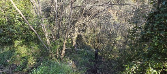 Земельный участок 6588м² в Таджа, Италия № 36625 8