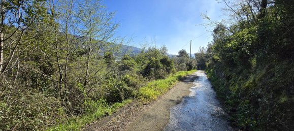 Земельный участок 6588м² в Таджа, Италия № 36625 12