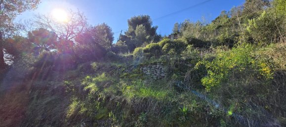 Земельный участок 6588м² в Таджа, Италия № 36625 11