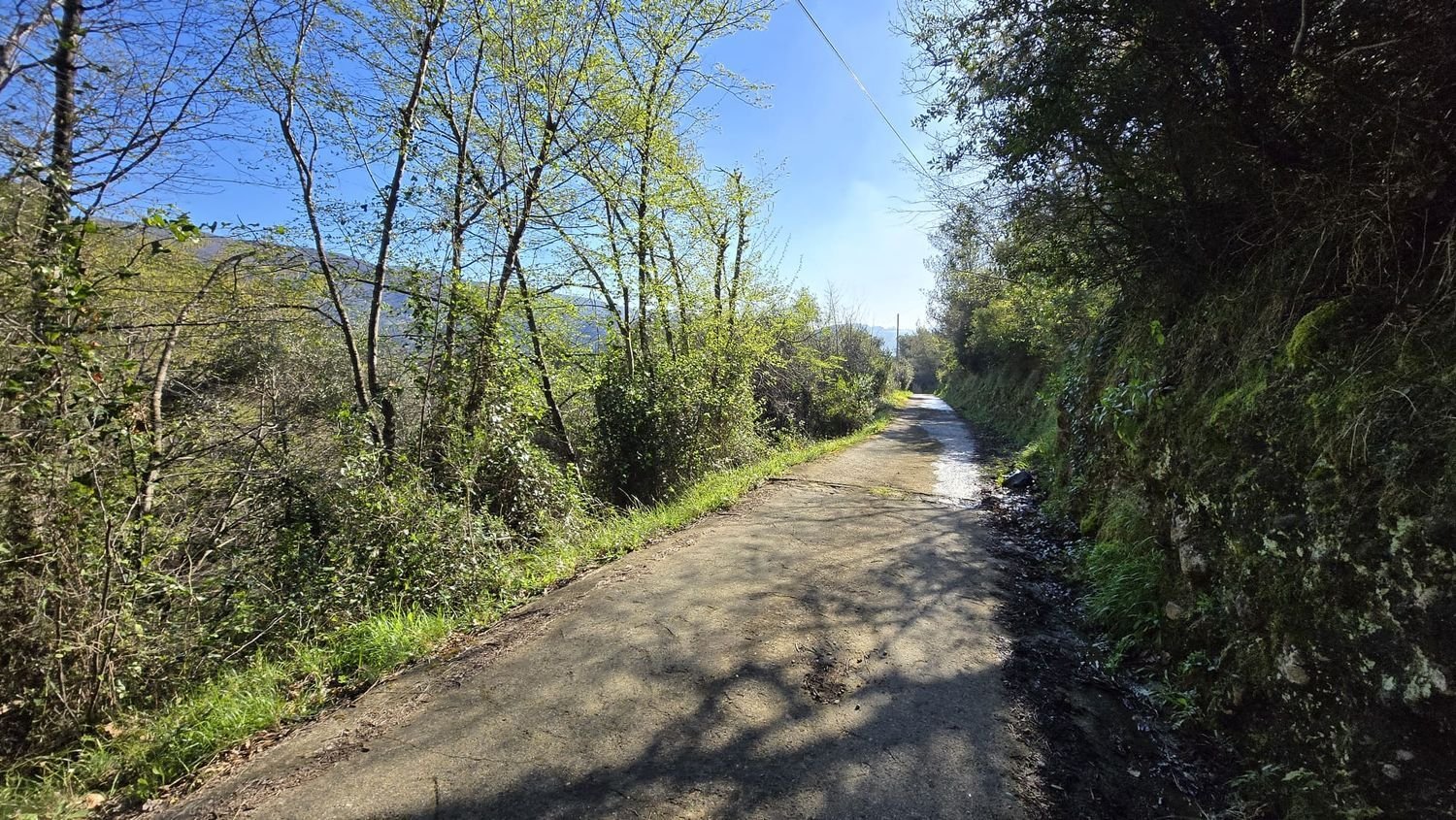 Земельный участок 6588м² в Таджа, Италия № 36625