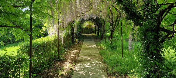 18-Zimmer Haus in Voghera, Italy, Nr. 106008 12