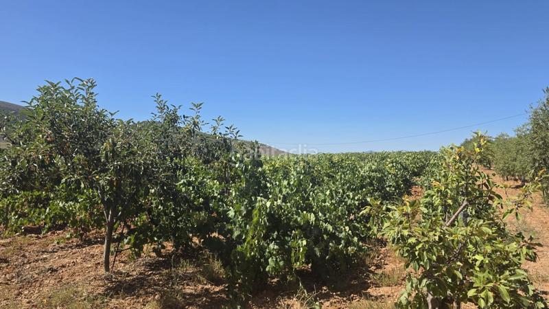 23499m² Land in Laujar de Andarax, Spain No. 198400