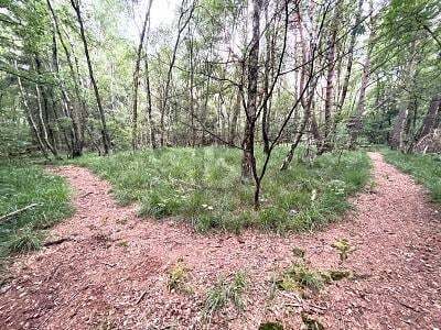  قطعة أرض في Pinneberg, Germany 5634متر مربع رقم 225174