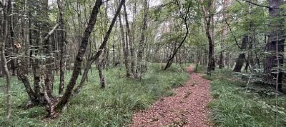 Grundstück in Pinneberg, Germany 5634m², Nr. 225174 4