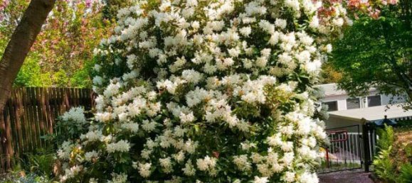 6 غرف نوم فيلا في Mittelsachsen, Germany رقم 167261 9