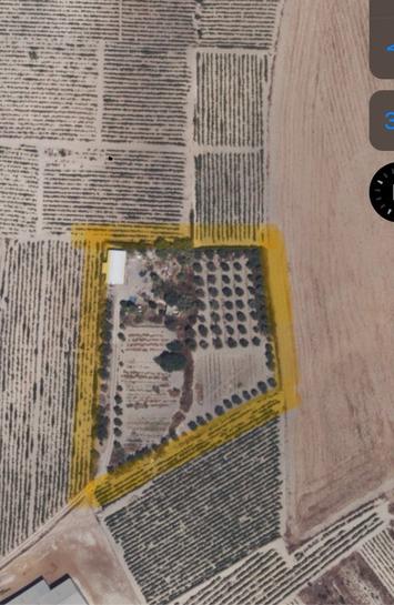 5000m² Land in Cadiz, Spain No. 162413