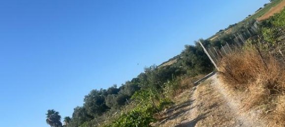 5000m² Land in Cadiz, Spain No. 162413 7