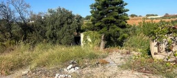 5000m² Land in Cadiz, Spain No. 162413 5