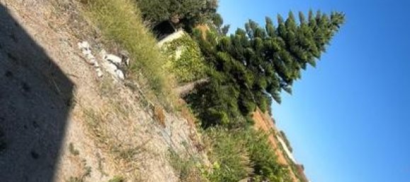 5000m² Land in Cadiz, Spain No. 162413 4