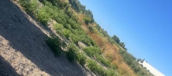 5000m² Land in Cadiz, Spain No. 162413 3