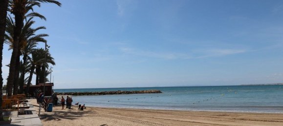 400m² Commercial property in Torrevieja, Spain No. 28354 49