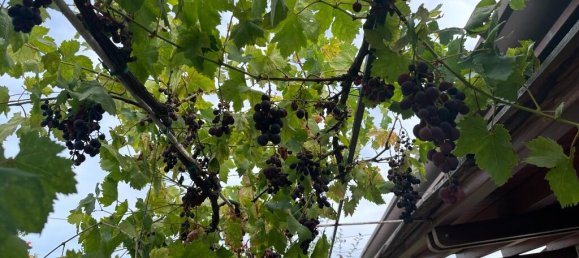 2 bedrooms House in Furnari, Italy No. 316524 28