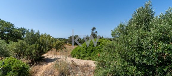 Terrain à Loule, Portugal 2055m² No. 37657 22