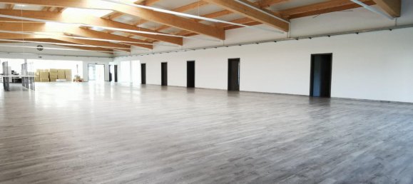 Entrepôt à Dingolfing-Landau, Germany 1000m² No. 298087 16