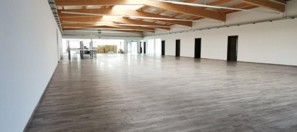 Entrepôt à Dingolfing-Landau, Germany 1000m² No. 298087 15