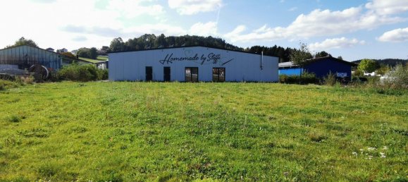 Entrepôt à Dingolfing-Landau, Germany 1000m² No. 298087 4