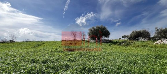 5-salle Maison à Ragusa, Italy No. 214696 5