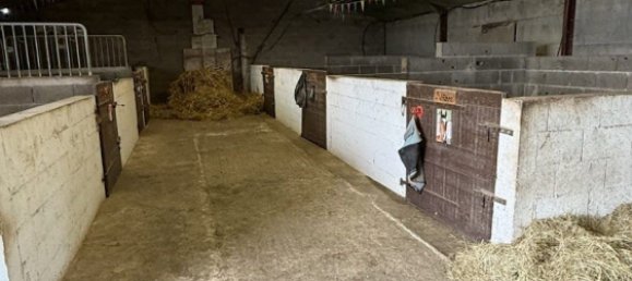 Casa de 6 dormitorios en Sarthe, France No. 98502 8