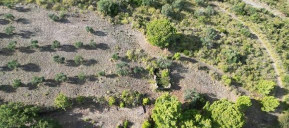 2-Zimmer Haus in Montecorice, Italy, Nr. 122675 6