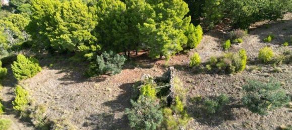 2-Zimmer Haus in Montecorice, Italy, Nr. 122675 2