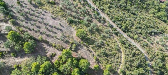 2-Zimmer Haus in Montecorice, Italy, Nr. 122675 5