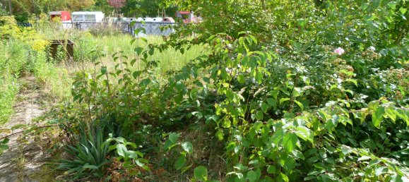 Casa de 6 habitaciónes en Riesa, Germany No. 32944 25