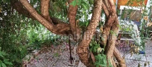 5 bedrooms House in Castelfidardo, Italy No. 143114 22