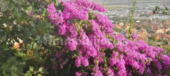 5 bedrooms House in Castelfidardo, Italy No. 143114 20